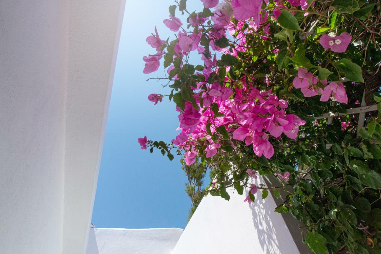 Villa Aiolos Palekastro Dış mekan fotoğraf